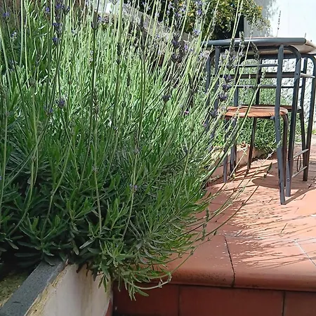 La Casa Di Betta Holiday home Sant'Agata Li Battiati